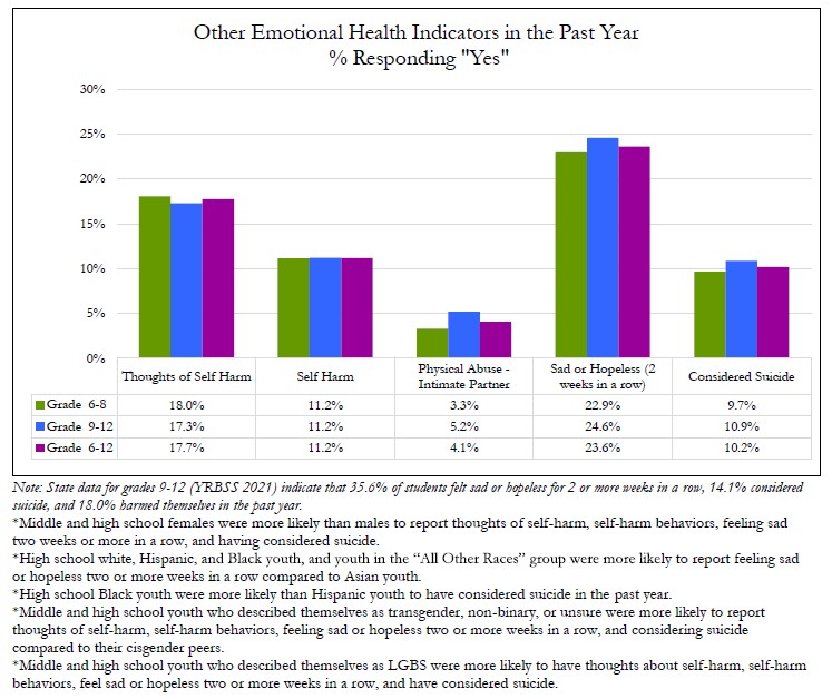 2023 Other Emotional Health Indicators