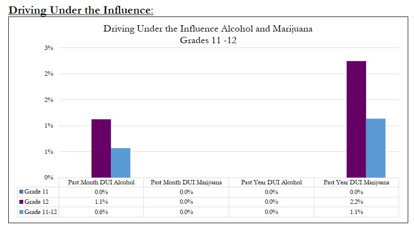 Driving Under the Influence 2025