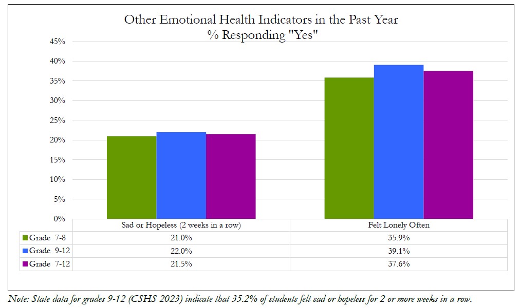 Other Emotional Health Indicators in the Past Year % Respondeing Yes