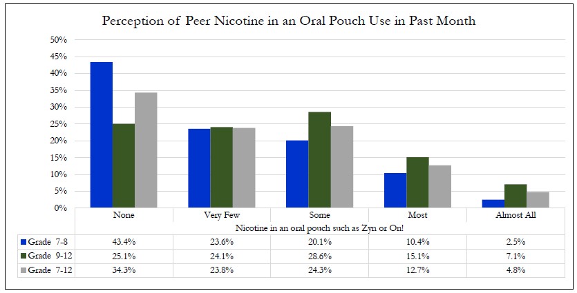 Perception of Peer Nicotine in an Oral Pouch Use in Past Month