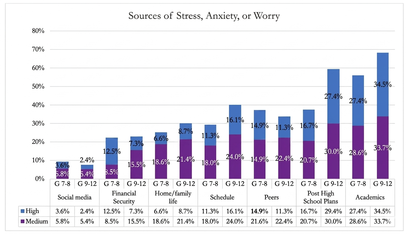 Sources of Stress Anxiety or Worry Least to Greatest Values.jpg