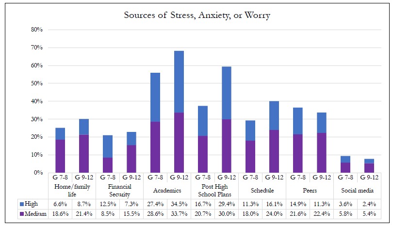 Sources of Stress Anxiety or Worry